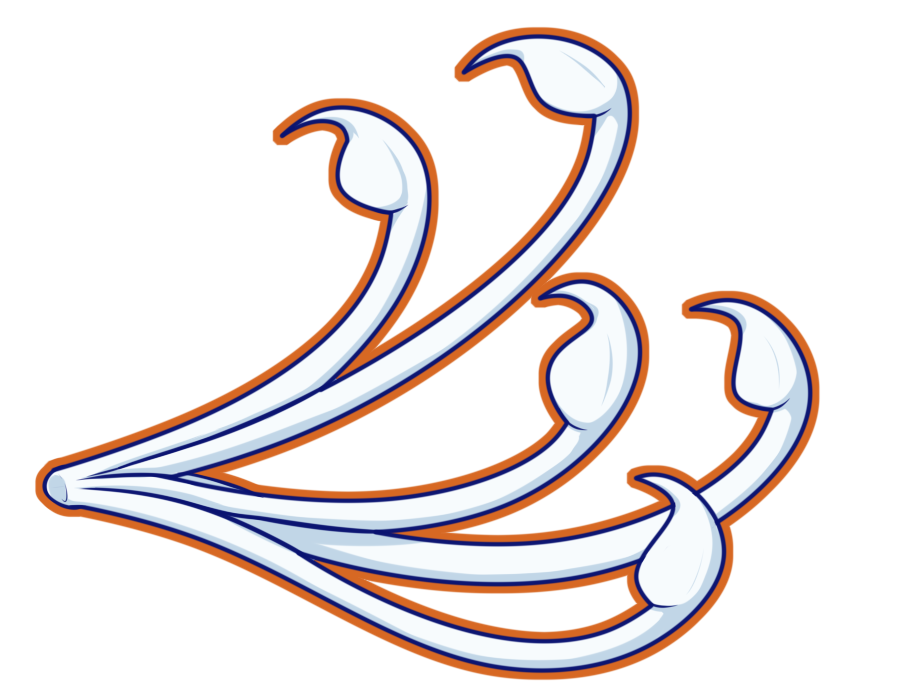 Striker